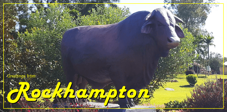 A postcard featuring a statue of a large bullock by the side of the road announcing the start of the Rockhampton city limits.